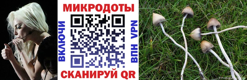 цена   Улан-Удэ  Галлюциногенные грибы мицелий 