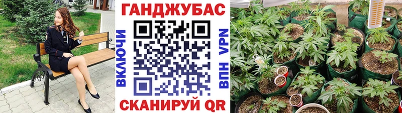купить закладку  Улан-Удэ  Бошки Шишки тримм 